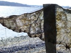 Nunofiltet sjal på fårehegn ved Mariager fjord